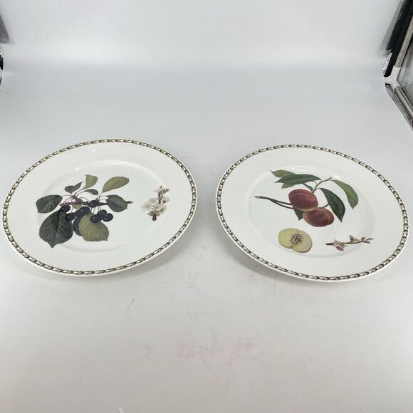 Set of 2 Queen's Royal Horticultural Society Dinner Plate 10 7/8” India - Picture 1 of 6